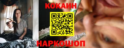 шишки Донской