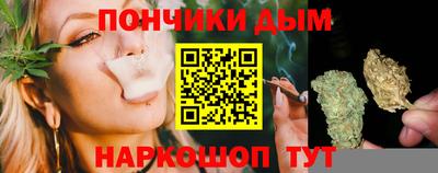 гашик Дубна