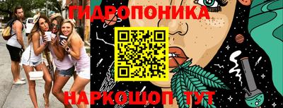 гашик Дубна