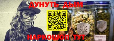 гашик Дубна