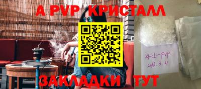 гашик Дубна