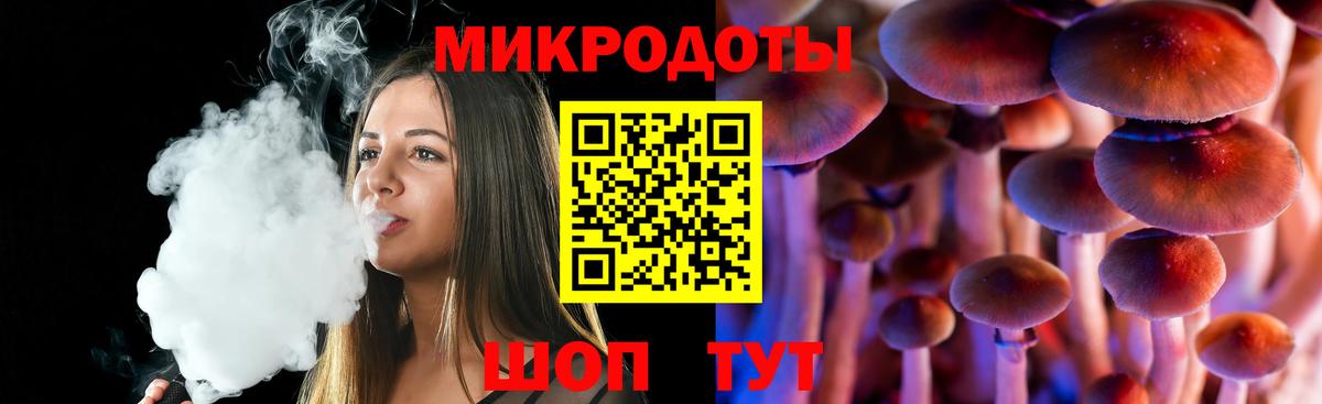 Псилоцибиновые грибы Cubensis Можга